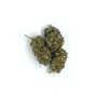 Sativa Poland Susz CBD Super Jamaica - 6